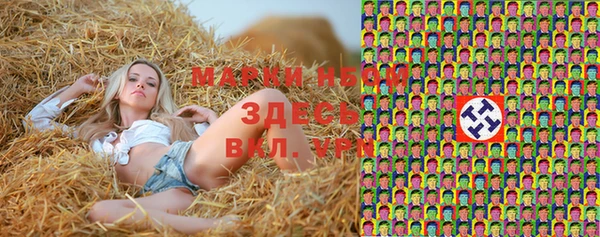 мдпв Верея