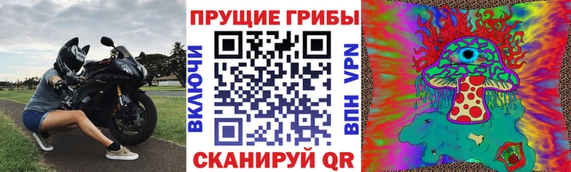 Псилоцибиновые грибы ЛСД  Купить  Лыткарино 